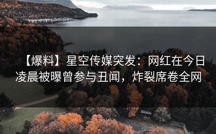 【爆料】星空传媒突发：网红在今日凌晨被曝曾参与丑闻，炸裂席卷全网