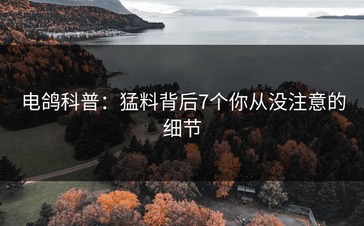 电鸽科普:猛料背后7个你从没注意的细节 电鸽科普:猛料背后7个你从没注意的细节