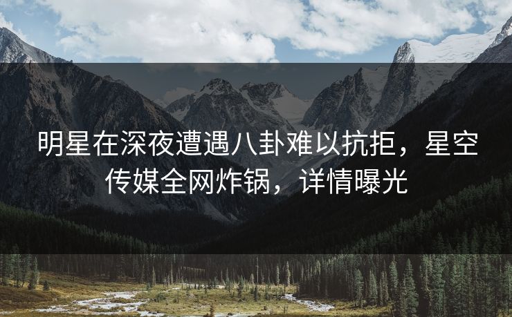 明星在深夜遭遇八卦难以抗拒,星空传媒全网炸锅,详情曝光
