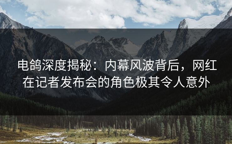 电鸽深度揭秘:内幕风波背后,网红在记者发布会的角色极其令人意外