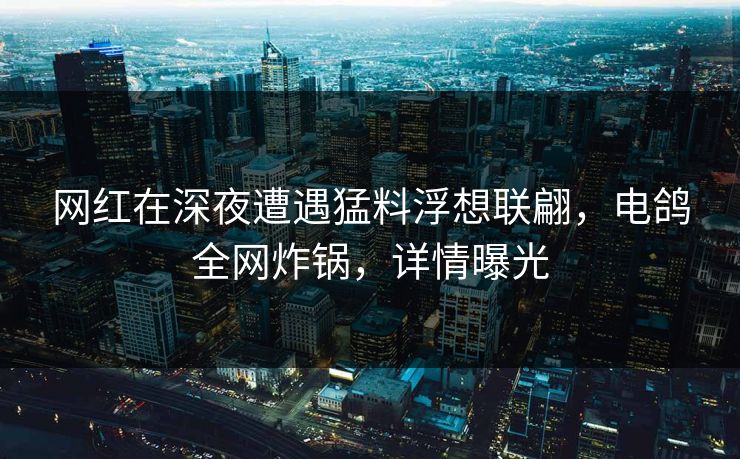 网红在深夜遭遇猛料浮想联翩,电鸽全网炸锅,详情曝光