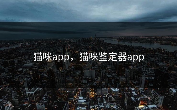 猫咪app,猫咪鉴定器app 猫咪app,猫咪鉴定器app